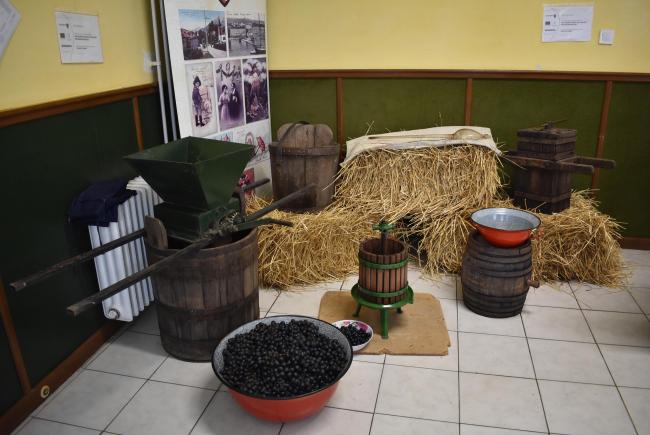 Új bor ünnepe 2021.11.10.