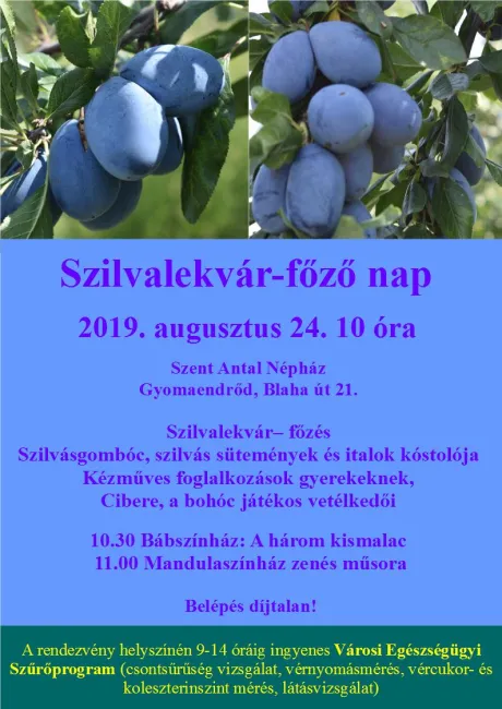 Szilvalekvár-főző nap