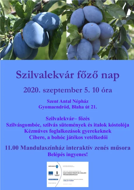 Szilvalekvár főző nap